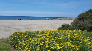 Una playa con flores amarillas al frente, arena dorada y un cielo azul despejado.