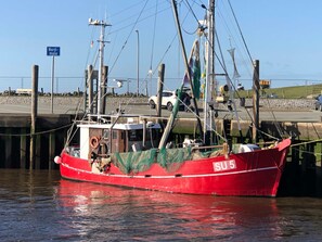 Uklassifisert bilde, 4 av 28, knapp