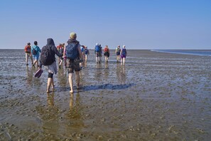 Uklassifisert bilde, 2 av 35, knapp