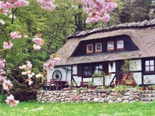 Ferienhaus Mühlenholz