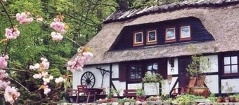 Ferienhaus Mühlenholz