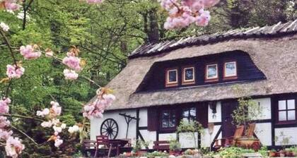 Ferienhaus Mühlenholz