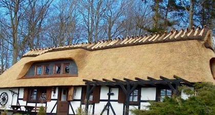 Ferienhaus Mühlenholz