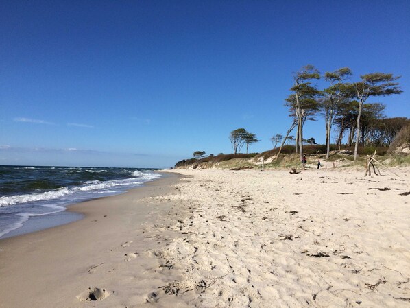 Una spiaggia nelle vicinanze