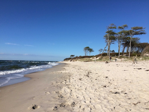 Plage à proximité