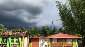 A row of colorful houses with red and green roofs, surrounded by lush greenery.