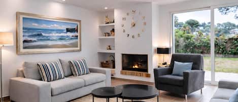 Smart TV, chimenea, reproductor de DVD y libros