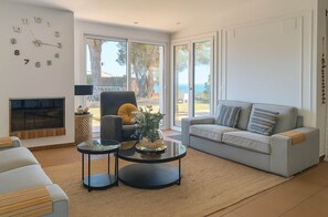 Smart TV, chimenea, reproductor de DVD y libros 