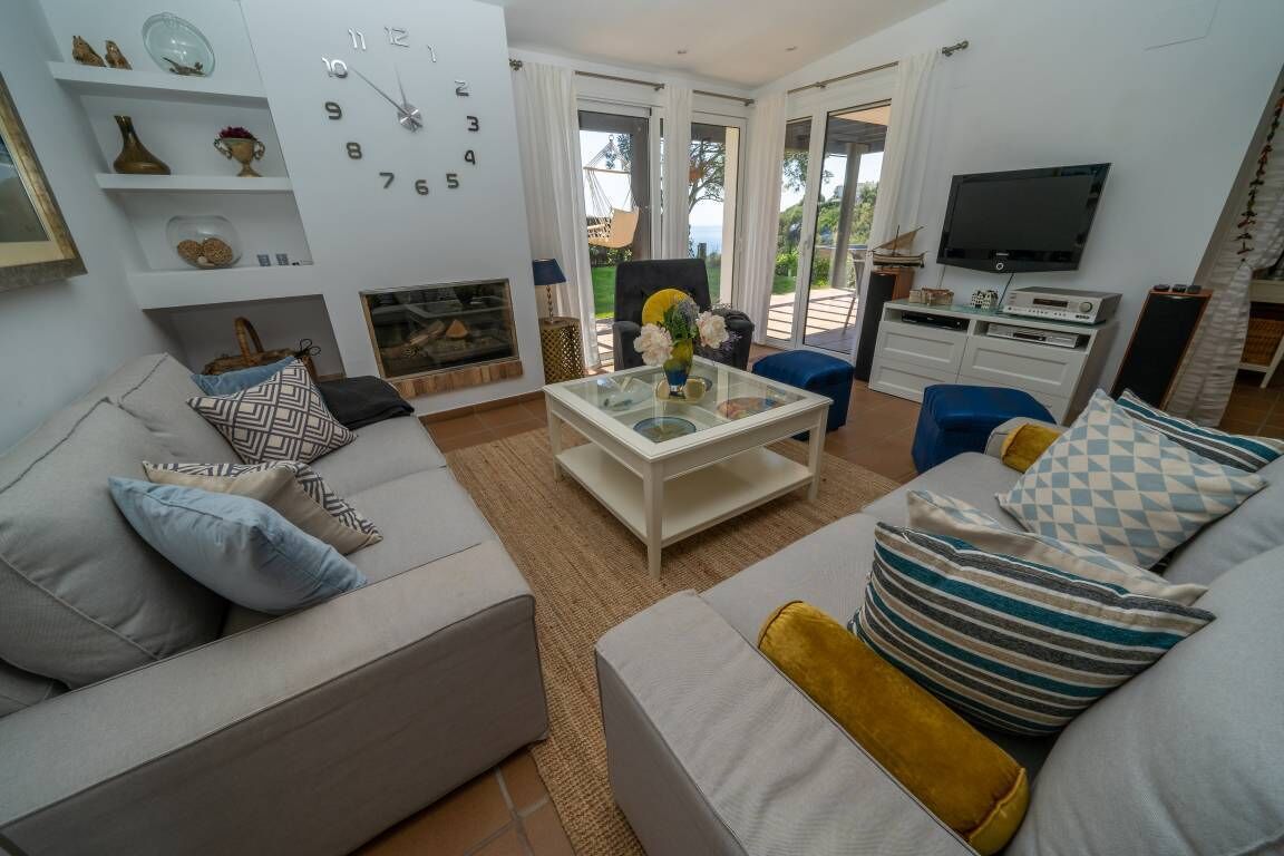 TV connectée, cheminée, lecteur de DVD, livres