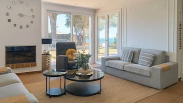 Smart TV, fireplace, DVD player, books