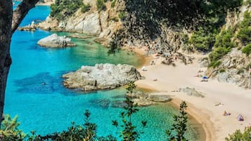 Playa en los alrededores