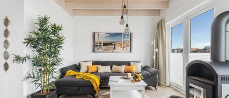 TV, fireplace, video game console, DVD player
