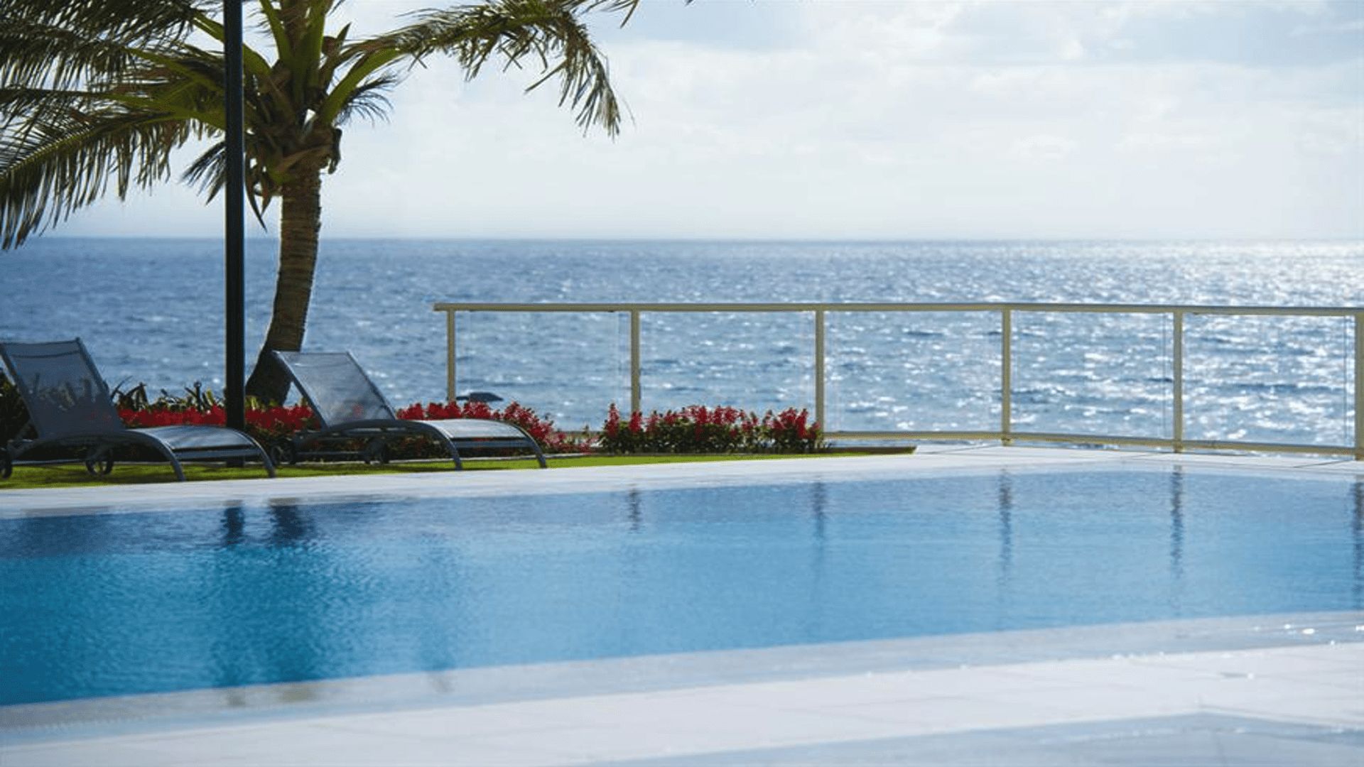 An infinity pool with a view of the ocean, surrounded by palm trees and red flowers.