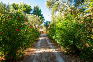 Exterior - Doliva Estate (Zakynthos)