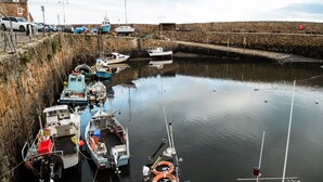 A harbor with boats docked along a stone wall, a building with a car parked outside, and a clear sky.