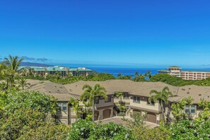A coastal residential area with multiple houses, some with visible balconies, and a clear view of the ocean.