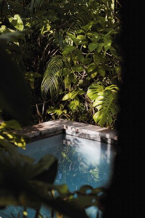 A pool surrounded by dense tropical foliage.