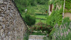 Un sendero de piedra conduce a una casa rústica con techo de tejas, rodeada de abundante vegetación y plantas en flor.