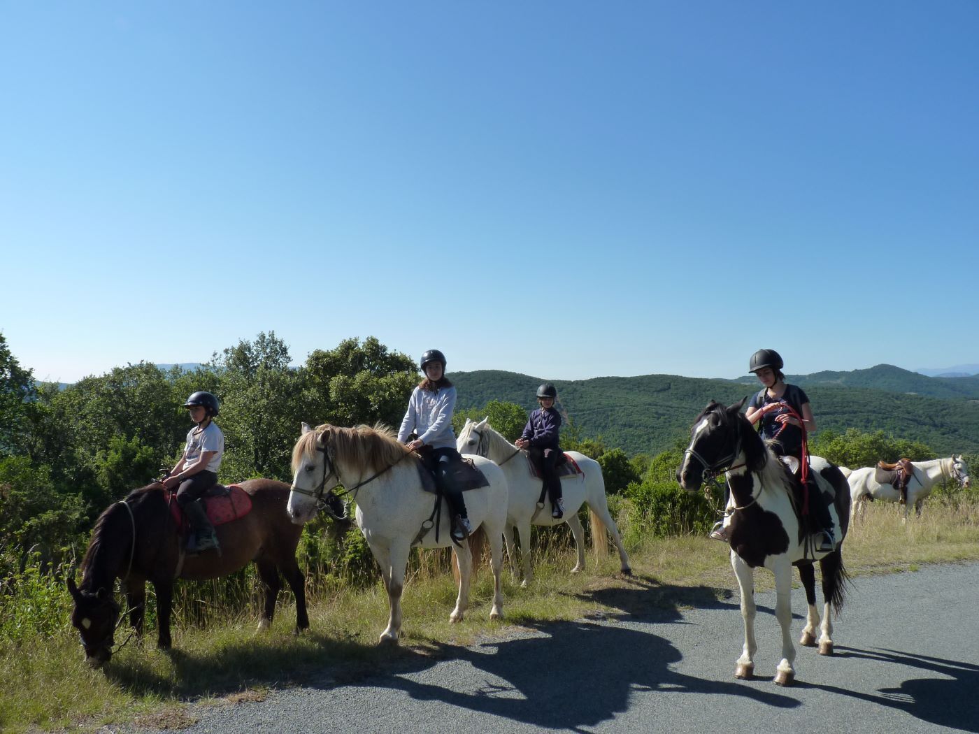 Eine Gruppe von Reitern auf einem Weg, mit Blick auf sanfte, grüne Hügel im Hintergrund.