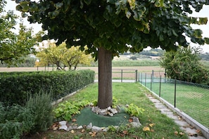 A tree with a well-maintained hedge and a grassy area with a fence.