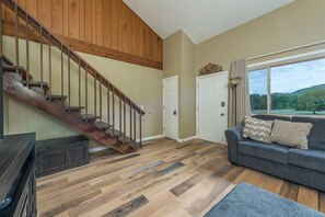 Televisión, chimenea y reproductor de DVD 