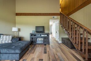 TV, fireplace, DVD player