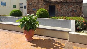 A potted plant in the foreground with a stone wall and a door in the background. - Millennium Thermas Residence TOP (Caldas Novas)