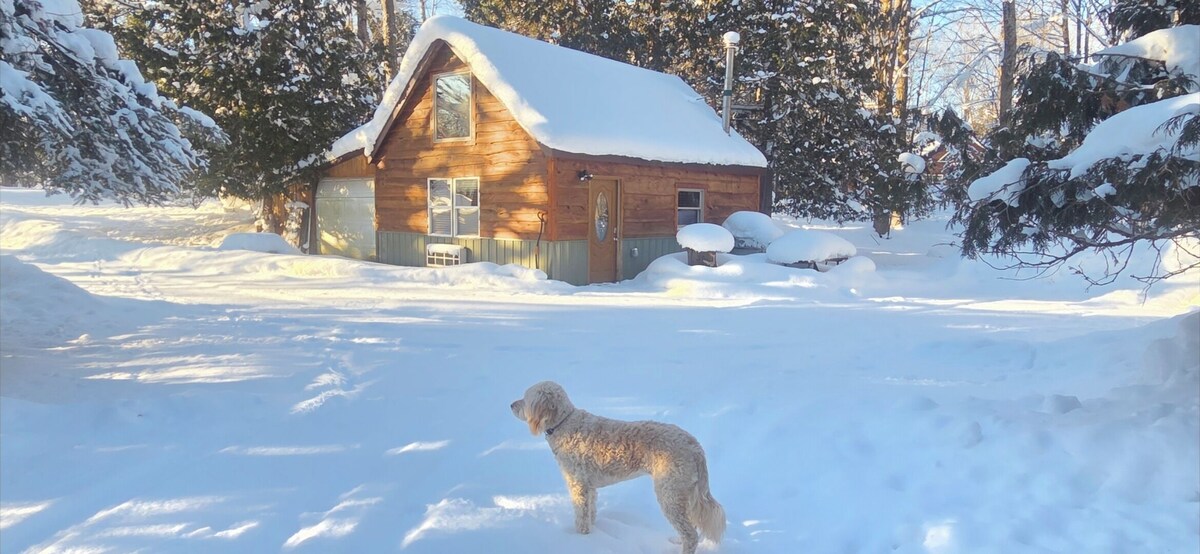 Imagem do perfil do anfitrião