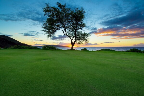 Un campo de golf con un árbol destacado en el centro, cielo despejado y una puesta de sol al fondo.