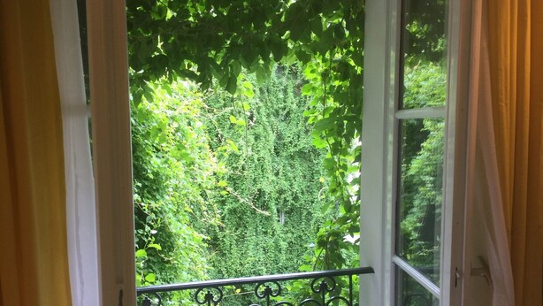 A window with a view of a lush green garden. - C3D Greenery (París)