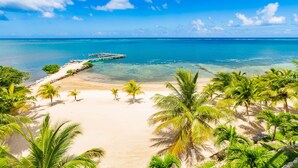 A beach with clear turquoise water, a pier, and palm trees.