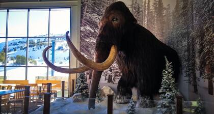 #2 Walkable to Shops & Restaurants. Garage w/EV charging