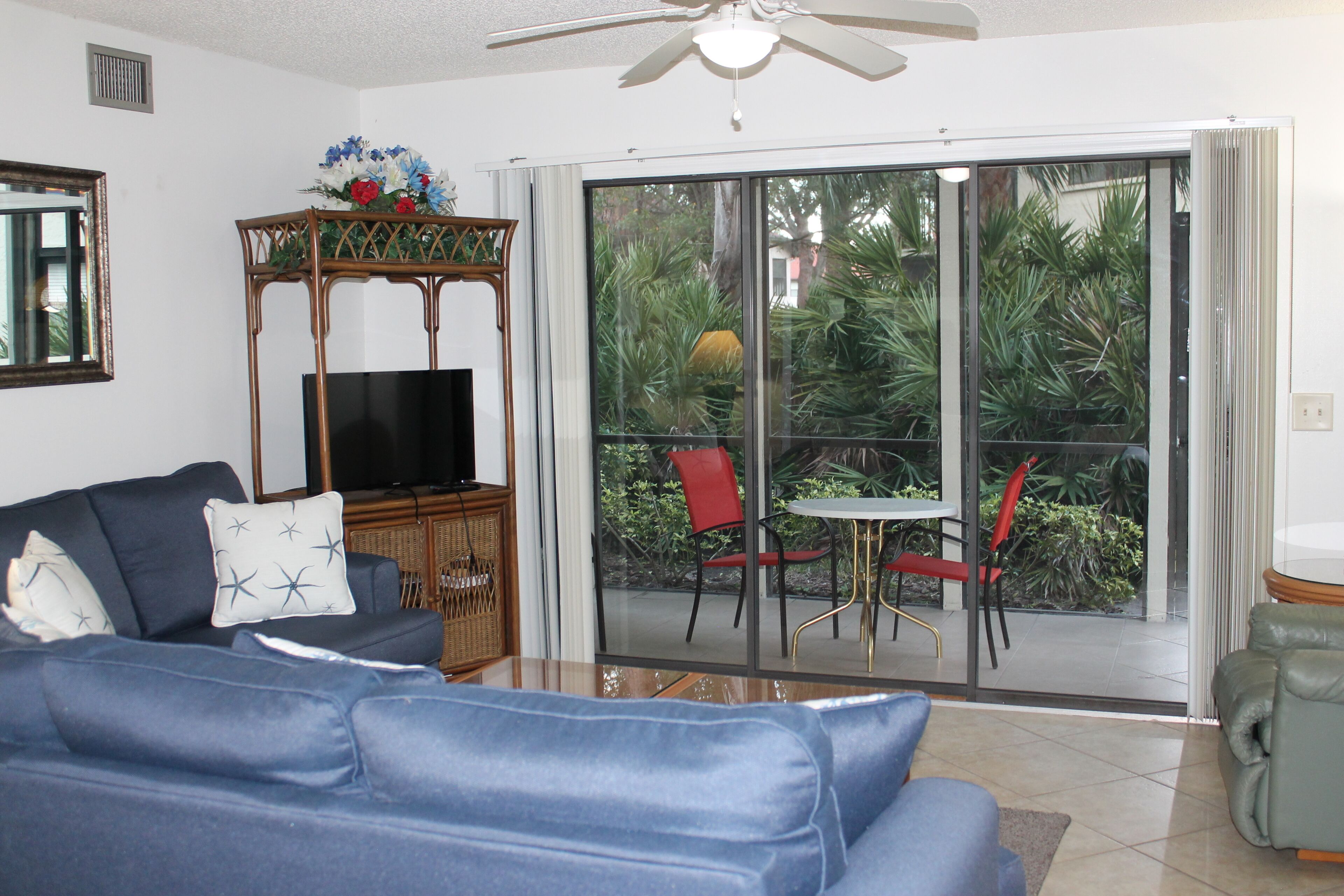 Televisión y reproductor de DVD 