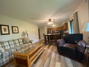 Smart TV, fireplace, books