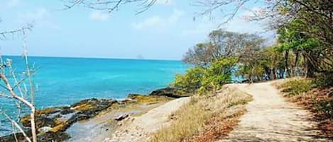 在海滩、沙滩椅