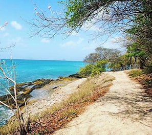 Plage, chaises longues