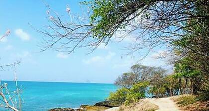Hibiscus beach and pool Sainte-Luce Martinique