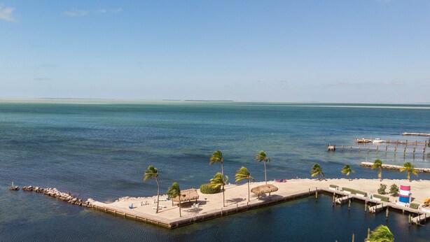 A coastal area with a sandy beach, palm trees, a pier, and a small dock with boats. - 3/2 condo Futura Yacht Club Pool, Dockage, Wifi, dockage, beach (Islamorada)