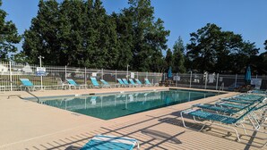 Pool - Secluded, Quiet-Nature/Forest Views and Only 15 Minutes to Beach! (Myrtle Beach)