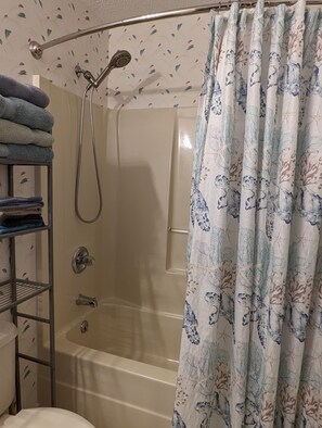 Ensemble douche/baignoire, sèche-cheveux, serviettes fournies, savon