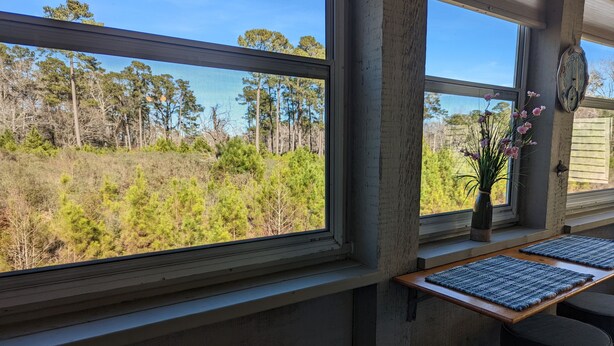 Interior - Secluded, Quiet-Nature/Forest Views and Only 15 Minutes to Beach! (Myrtle Beach)
