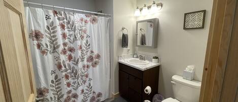 Une salle de bain équipée d’un rideau de douche, d’un lavabo, d’un miroir et de toilettes.