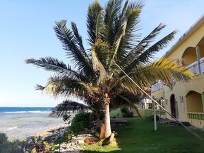 Property grounds - Looking for the perfect get away!!!! Sutherland Tip-Top Rentals (St Ann's Bay)
