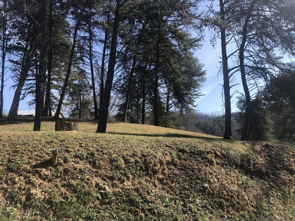 Property grounds - Family-friendly cottage - close to BMS, Watauga Lake, Asheville, Johnson City (Elizabethton)