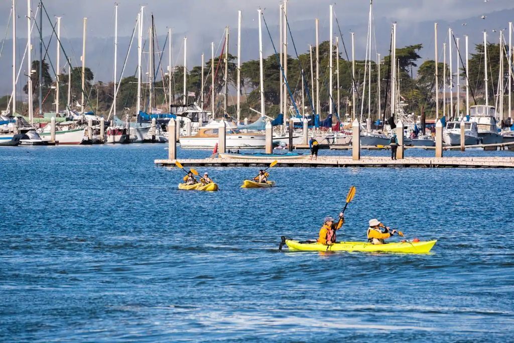 Una marina con varias embarcaciones amarradas y kayakistas en el agua.