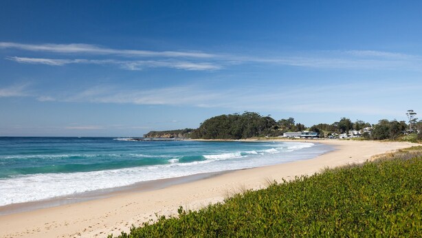 A beach with a sandy shore, ocean waves, and a forested area with buildings in the background.