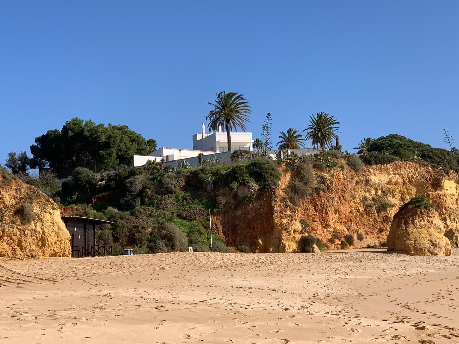 Foto - Casa Três Palmeiras