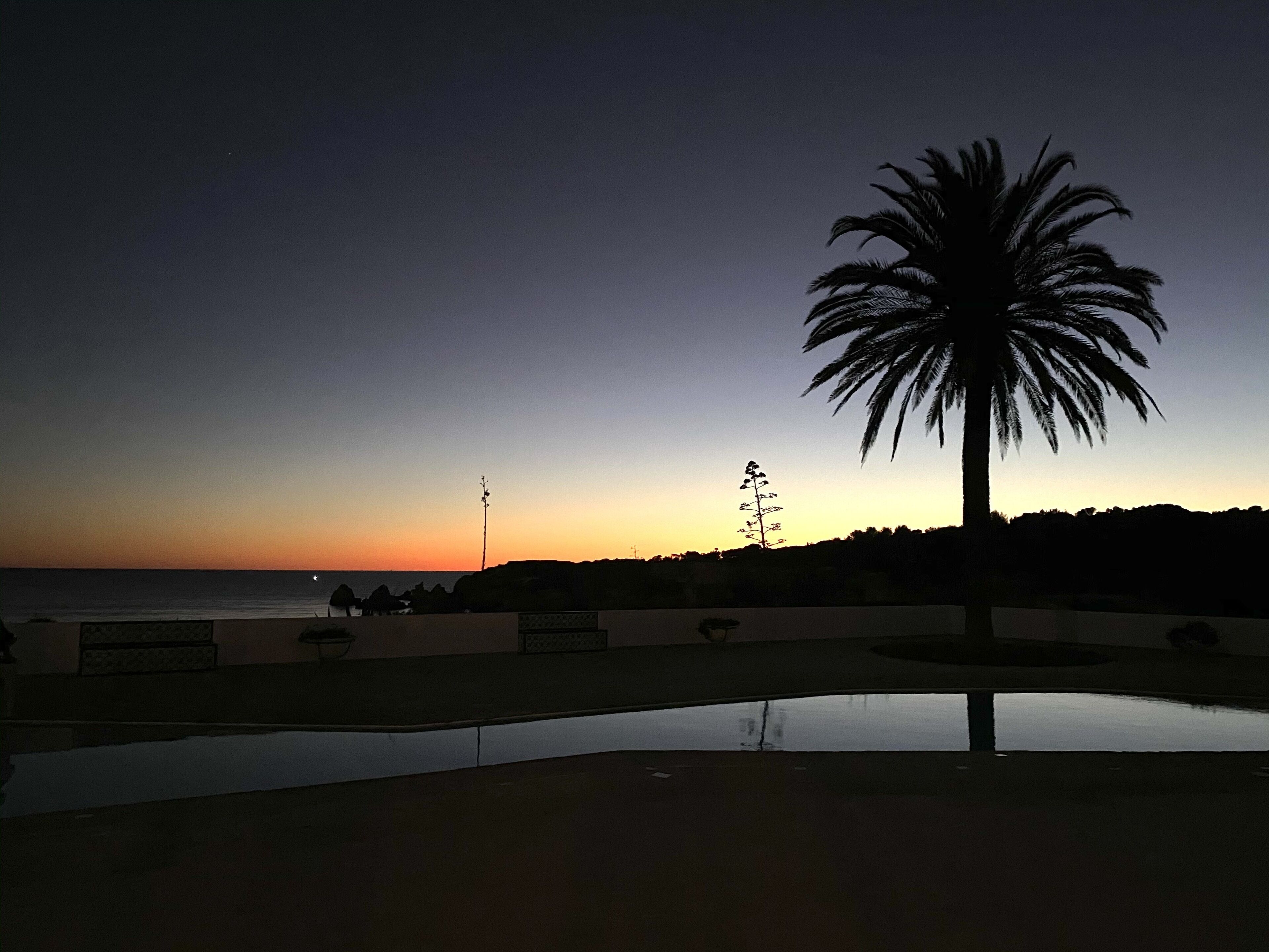 Foto - Casa Três Palmeiras