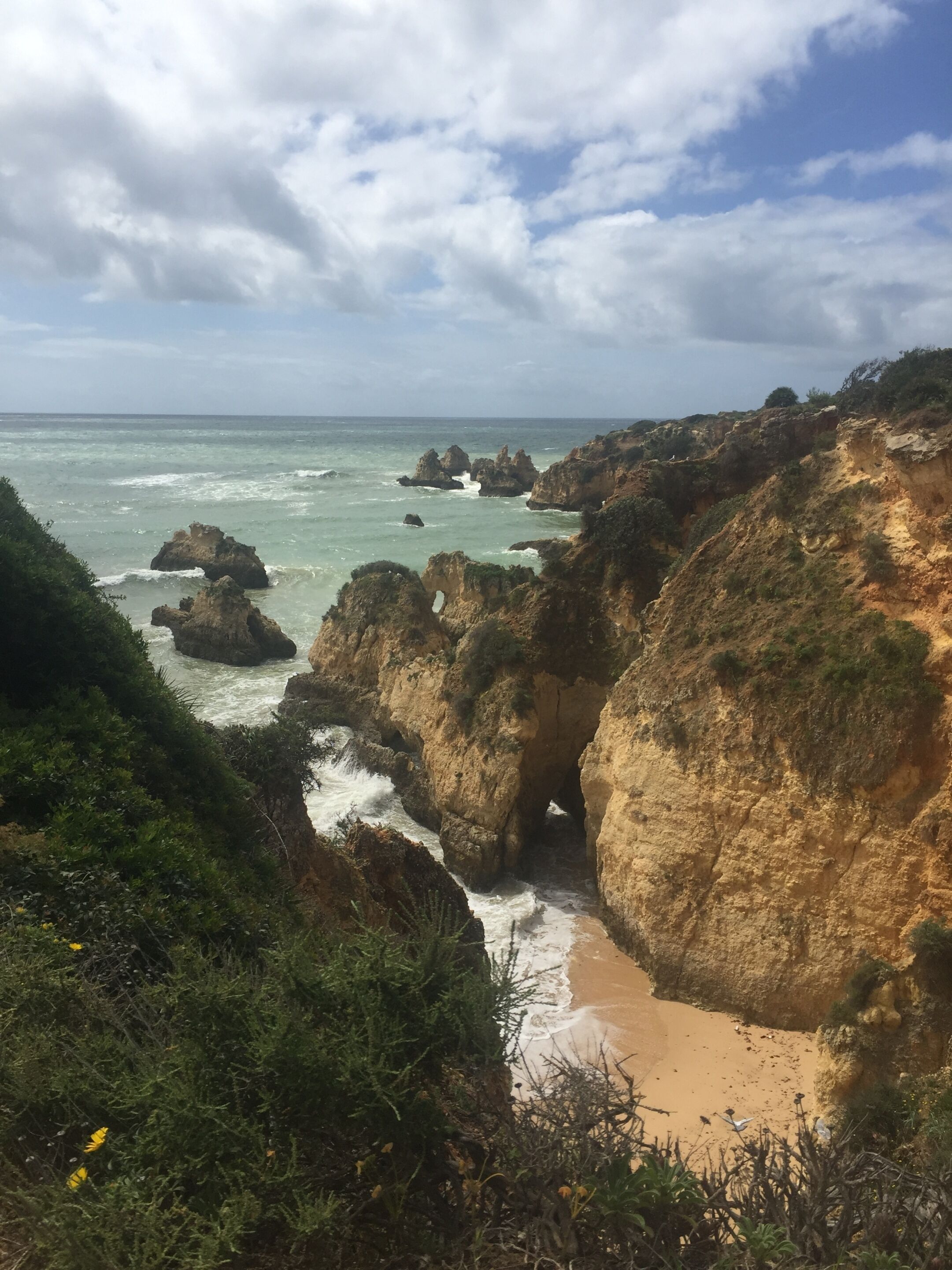 Foto - Casa Três Palmeiras