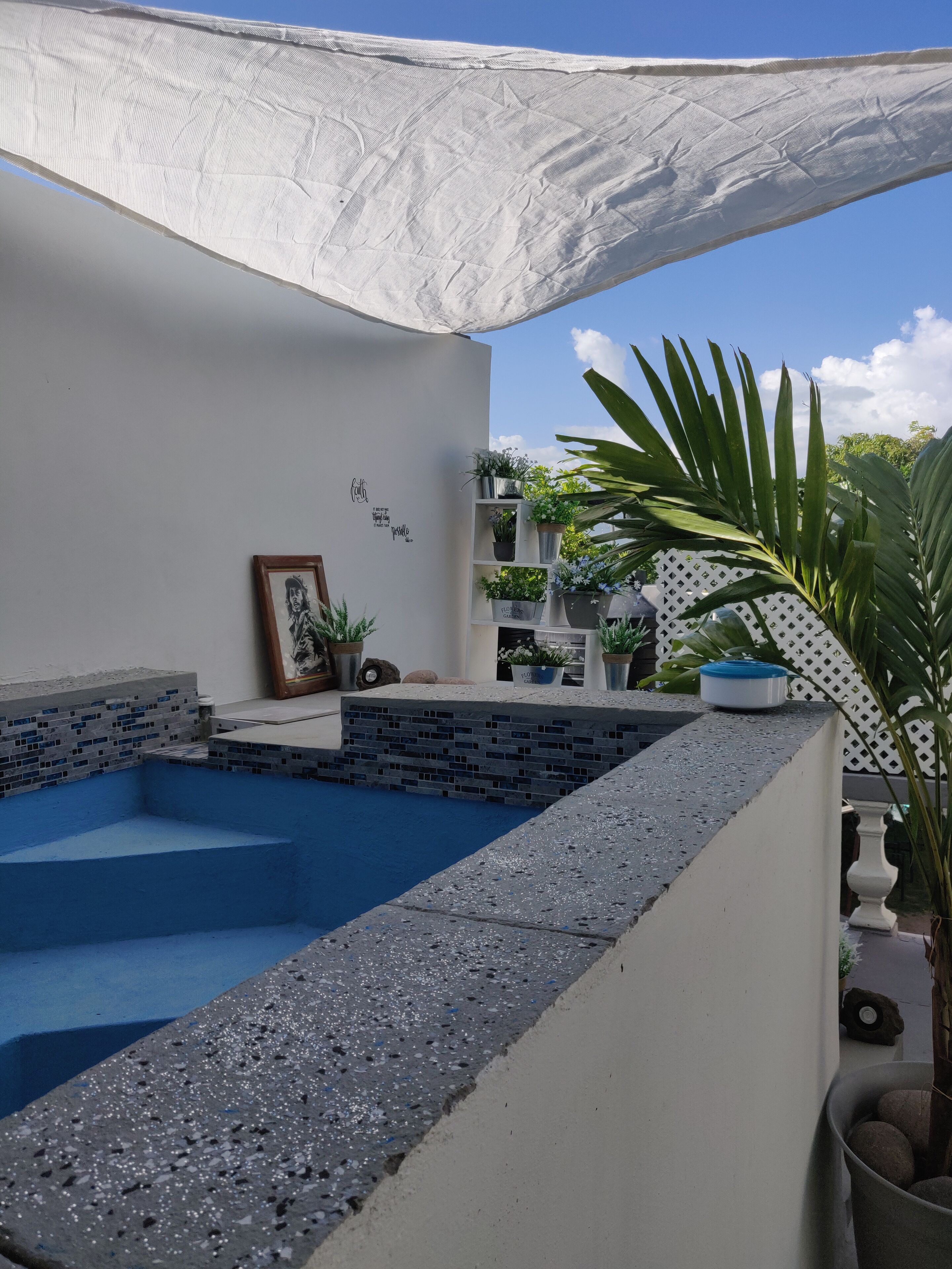 A pool with a blue tiled edge, surrounded by a white wall and a white canopy. There are potted plants and a framed picture on the wall.